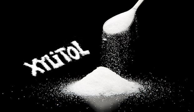 Toxic-Xylitol-sugar-substitude.jpg